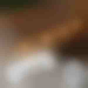 20x samolepiace klipy na montáž svetiel | CORDCLIP