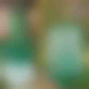 Opakovane použiteľná závesná pasca na muchy a hmyz | INSECTA