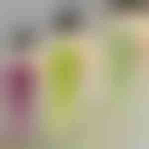 Dekoratívne závesné rastliny | IVYORA