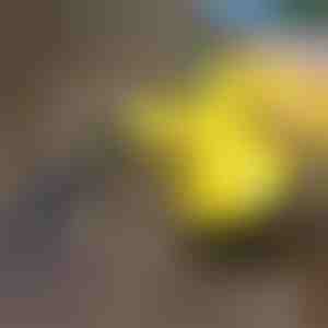 Parný čistič na dezinfekciu | VAPERO