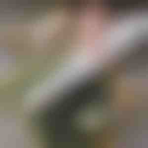 Jednoduchý domáci sushi valček | SUSHROLIO