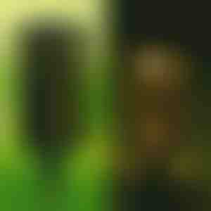 Dekoratívna solárna lampa (2 kusy) | GARDENIAS