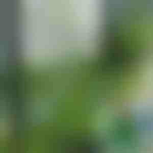 Dekoračné umelé trávnaté dlaždice (5ks) | GRASSTILE