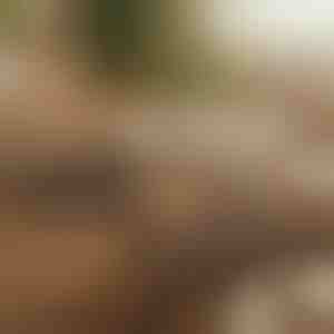 Magnetický lepiaci organizér káblov | CABLIP