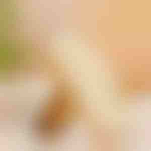 Gumová kefka na topánky | RUBSHOE